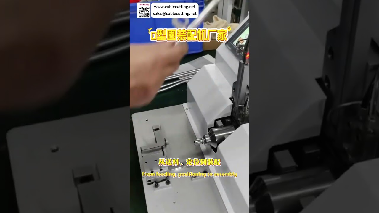 Automatische O-ring Montagemachine - Hoogefficiënte Afdichtingsring - Op Maat Gemaakte Leverancier