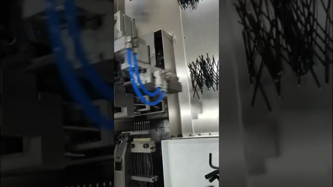 Volledig Automatische Dubbele Kop Vertinmachine – 1 van 8 Proefvideo (Echte Opname) #fabriek #machine
