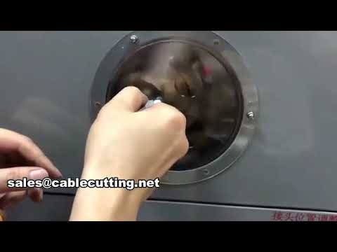 Automatische Teflon tape wikkelmachine WPM-1308 – Efficiënt & Betrouwbaar