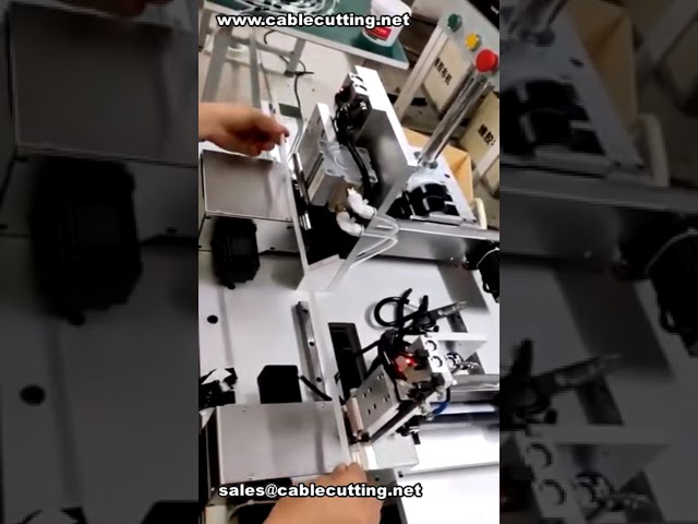 Op maat gemaakte meerpunts tapemachine voor slangen – gelijktijdig 19mm en 30mm tapes