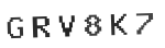 Verification Code Image
